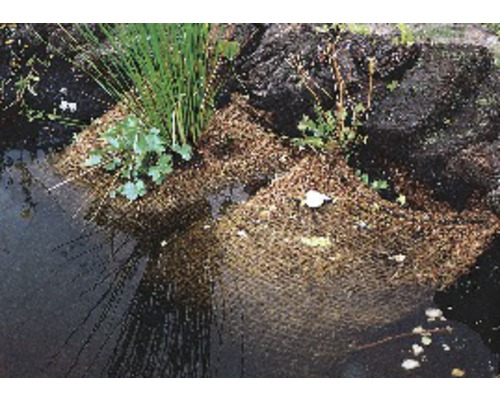 Teich mit Pflanzinsel und Bepflanzung