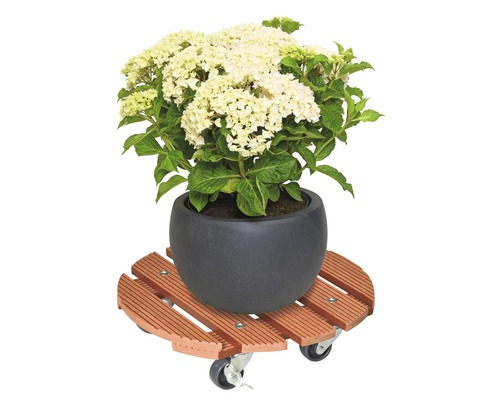 Hortensie im Topf auf einem Pflanzenroller aus Holz mit Rollen