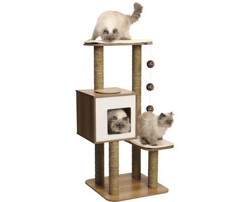 Katzenkratzbaum mit Liegeflächen, Höhle und Sisalstämmen mit drei Katzen