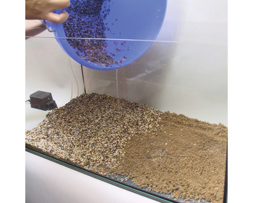 Aquarienkies wird in ein Aquarium gefüllt.