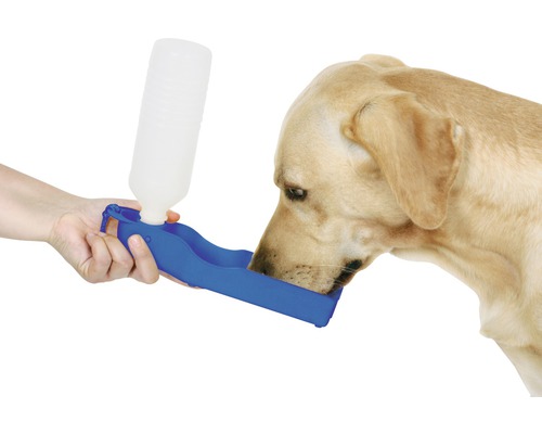 Hund trinkt aus einer blauen, tragbaren Hundetränke mit Wasserflasche