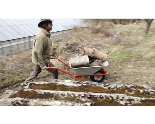 Mann transportiert Holz mit einer Schubkarre im Garten
