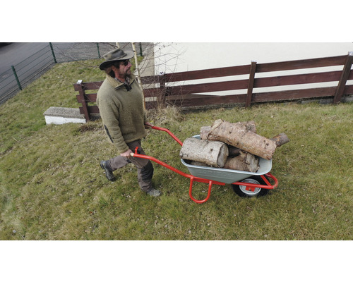 Mann transportiert Holz in einer Schubkarre auf einer Rasenfläche.
