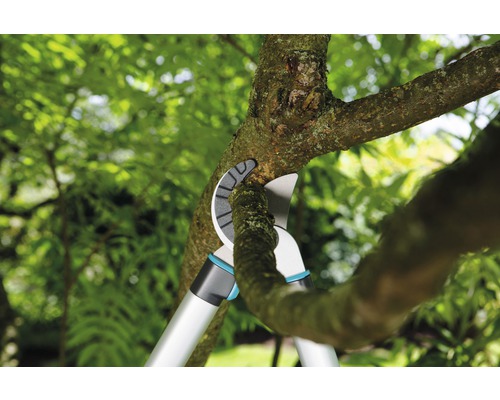 Astschere beim Schneiden eines Astes