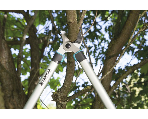 Astschere beim Schneiden eines Astes an einem Baum