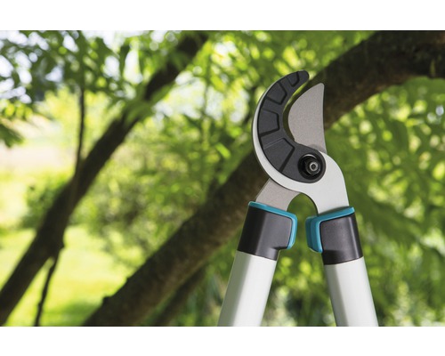 Gartenschere vor Baum