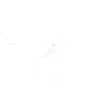 Ein Mann transportiert einen Häcksler mit Auffangbehälter im Garten.