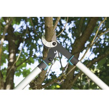 Astschere schneidet einen Ast