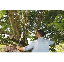 Ein Mann schneidet Äste mit einer Astschere im Garten.