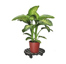 Pflanzenroller WagnerSystem Nature Ø 35 cm Tragkraft 100 kg braun