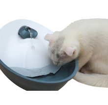 Katze trinkt aus einem Katzenbrunnen