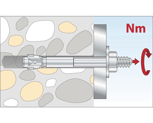Illustration eines Dübels in einer Wand mit Drehmomentangabe