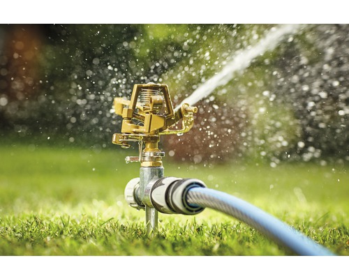 Rasensprenger mit Wasserschlauch im Einsatz