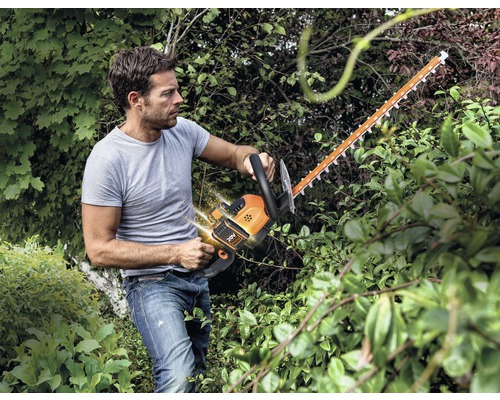 Ein Mann schneidet eine Hecke mit einer Akku-Heckenschere