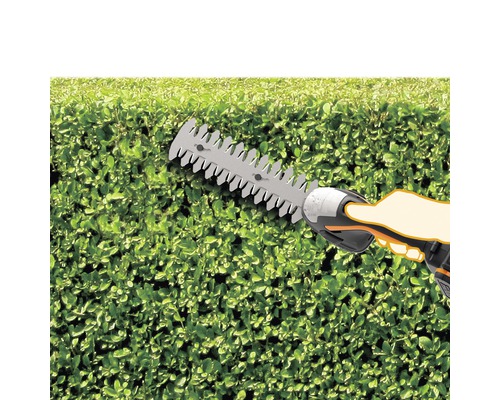 Heckenschere im Einsatz zum Schneiden einer Hecke