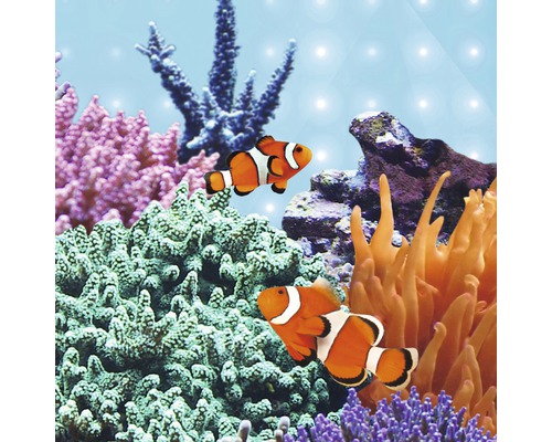 Aquarienszene mit Clownfischen, Korallen und Steinen