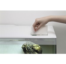 Eine Hand füttert Futter in ein Aquarium