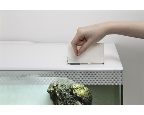 Eine Hand füttert Futter in ein Aquarium