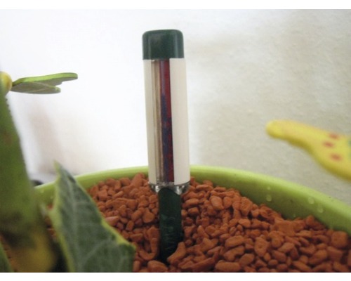 Feuchtigkeitsmesser in einem Pflanzgefäß mit Blähton