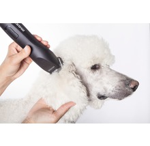Tierschermaschine MAX50 230V-thumb-4 Tierschermaschine MAX50 230V-thumb-4