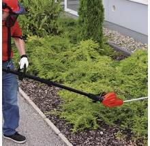 Person schneidet Hecke mit einer elektrischen Heckenschere mit Teleskopstiel