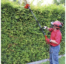 Mann schneidet Hecke mit Hochentaster und Schutzkleidung