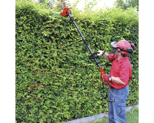 Mann schneidet Hecke mit Hochentaster und Schutzkleidung