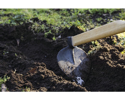 Erdhacke mit Holzgriff im Gartenbeet