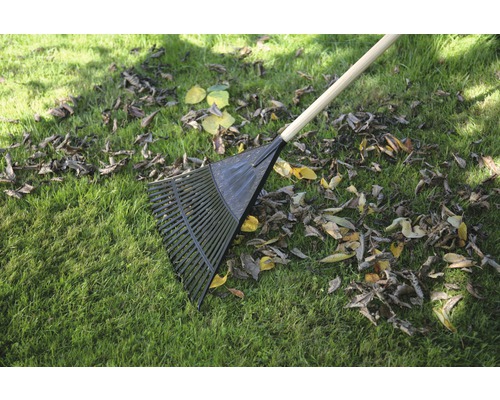 Laubbesen auf Rasen mit Herbstlaub