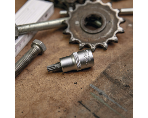 Torx-Bit-Einsatz mit Schrauben, Gliederkette und Zahnrad auf einer Werkbank