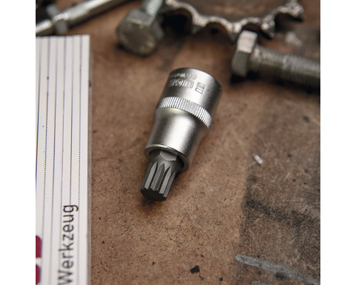 Torx Bit Steckschlüssel Einsatz auf einer Werkbank