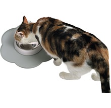 Katze frisst aus einem Edelstahlnapf auf einer blumenförmigen Unterlage. Katzennapf