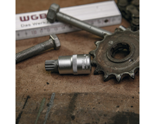 WGB Werkzeugaufnahme mit Schrauben, Messstab und Zahnrad