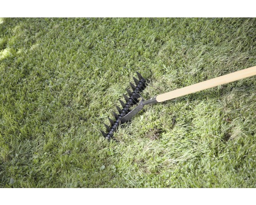 Vertikutierer im Gras