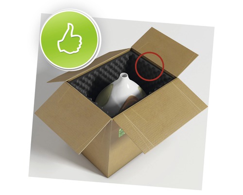 Produkt in geöffnetem Karton mit Füllmaterial