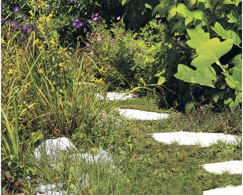 Gartenweg aus Trittsteinen mit üppiger Bepflanzung