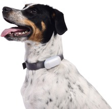 GPS Tracker Greta