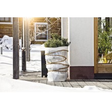 Winterliches Arrangement mit Pflanze im Topf auf einer Terrasse