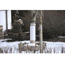 Ein Baum ist mit Winterschutz umwickelt und von einem kleinen Zaun umgeben.