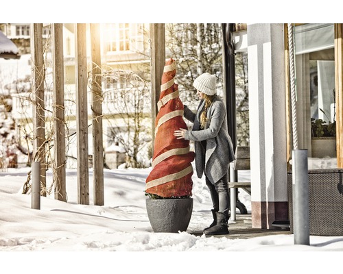 Eingewickelte Pflanze im Topf im Wintergarten mit Frau