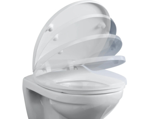 WC mit sich schließendem Toilettendeckel