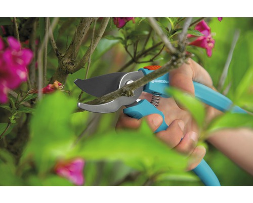 Gartenschere von Gardena schneidet einen Ast