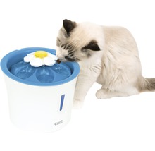 Katze trinkt aus einem Trinkbrunnen mit Blumenaufsatz