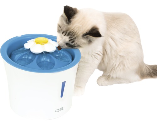 Katze trinkt aus einem Trinkbrunnen mit Blumenaufsatz