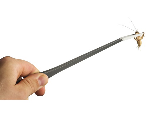 Eine Hand hält eine Pinzette mit Futterinsekten.
