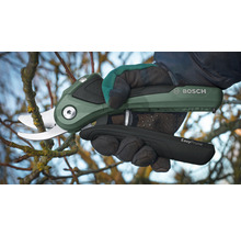 Akku-Gartenschere Bosch EasyPrune beim Schneiden eines Astes
