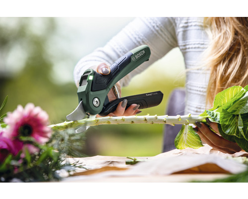 Eine Person schneidet mit einer Akku Gartenschere einen Pflanzenstiel.
