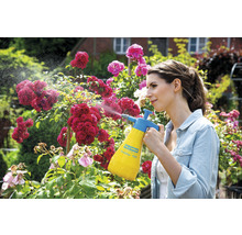 Frau benutzt Gloria Hobby 100 Gartensprühgerät an Rosen