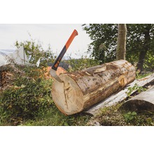 for-q Grassense im Holz