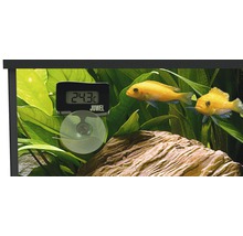 Juwel Digital Thermometer mit Saugnapf